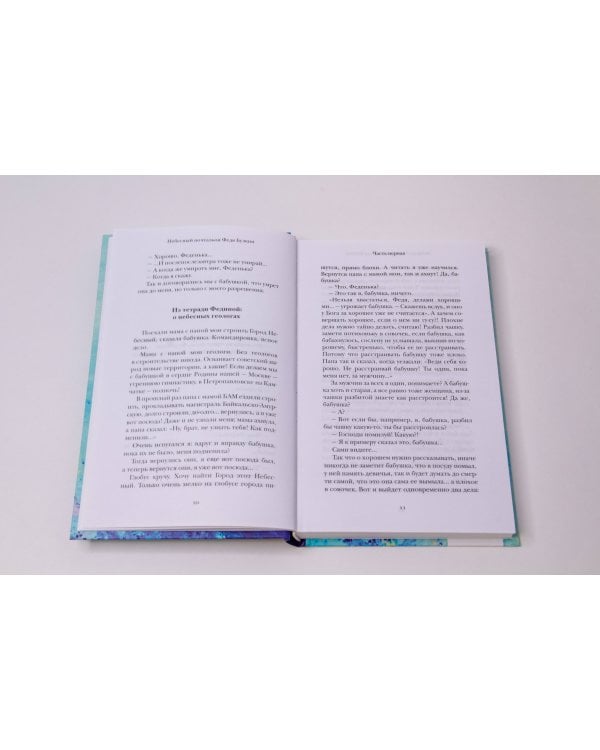 Небесный почтальон Федя Булкин