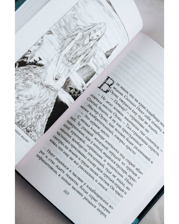 История с кладбищем с иллюстрациями Криса Ридделла