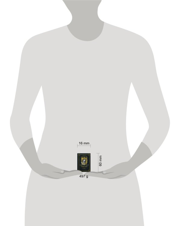 The Rover = Корсар. Т. 13: на англ.яз