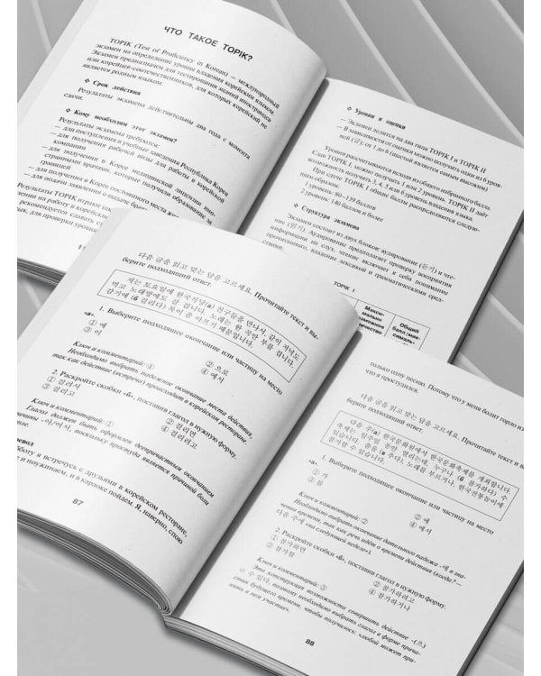 Корейский язык. Грамматика для начинающих. Уровни TOPIK I 1-2