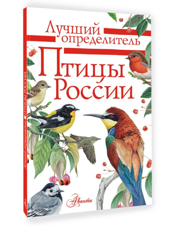 Птицы России