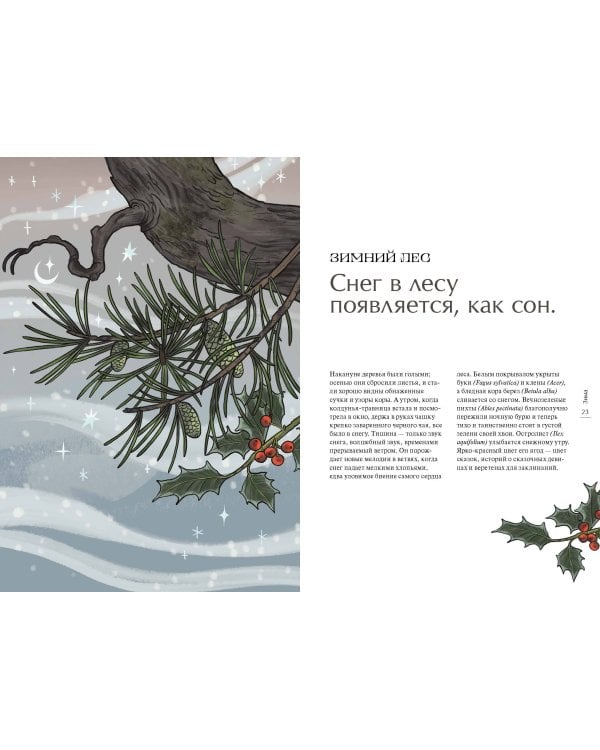 4 сезона волшебства. Тайные послания и рецепты, нашептанные лесом