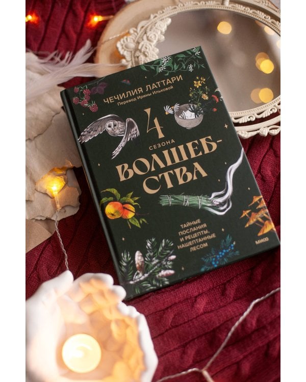 4 сезона волшебства. Тайные послания и рецепты, нашептанные лесом