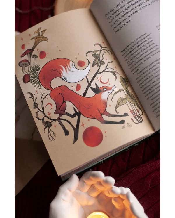 4 сезона волшебства. Тайные послания и рецепты, нашептанные лесом