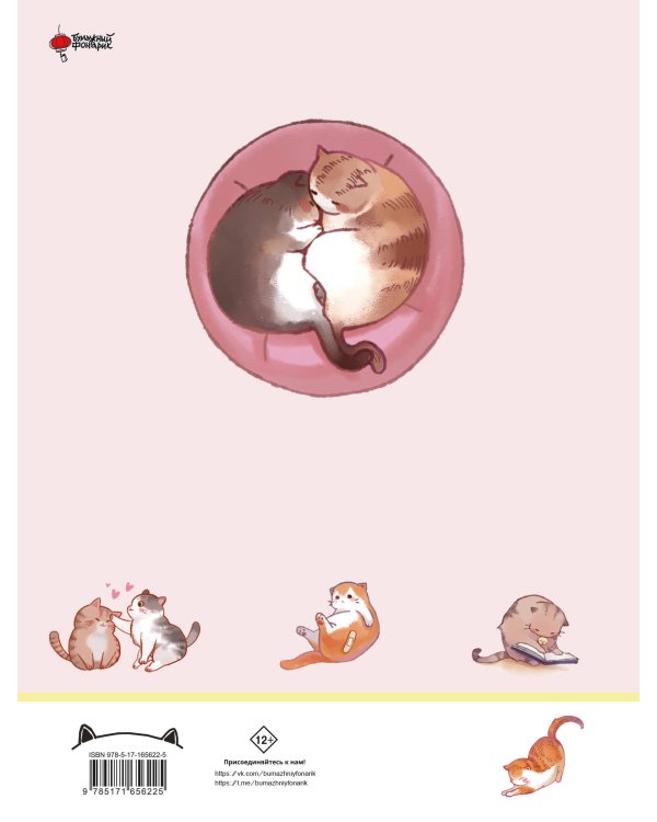 Твой котик: магия ухода. Все о том, как всегда понимать кошку и завести крепкую дружбу на всю жизнь.