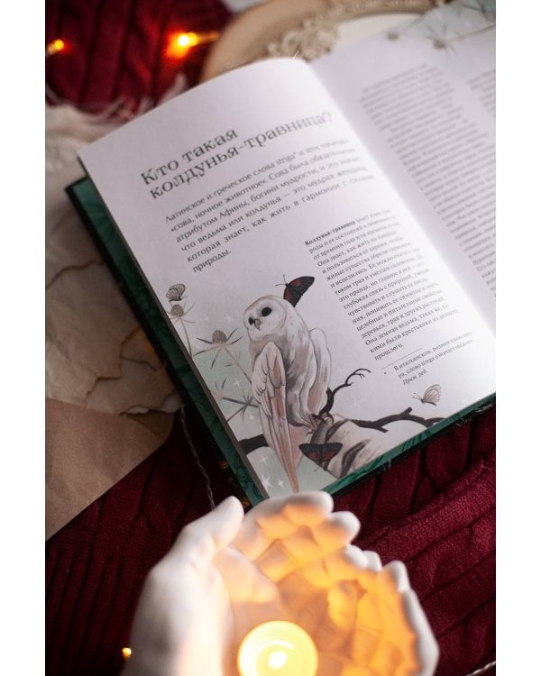 4 сезона волшебства. Тайные послания и рецепты, нашептанные лесом