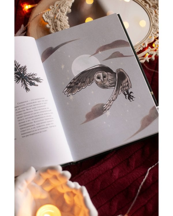 4 сезона волшебства. Тайные послания и рецепты, нашептанные лесом