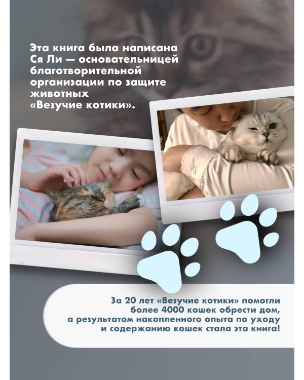 Твой котик: магия ухода. Все о том, как всегда понимать кошку и завести крепкую дружбу на всю жизнь.