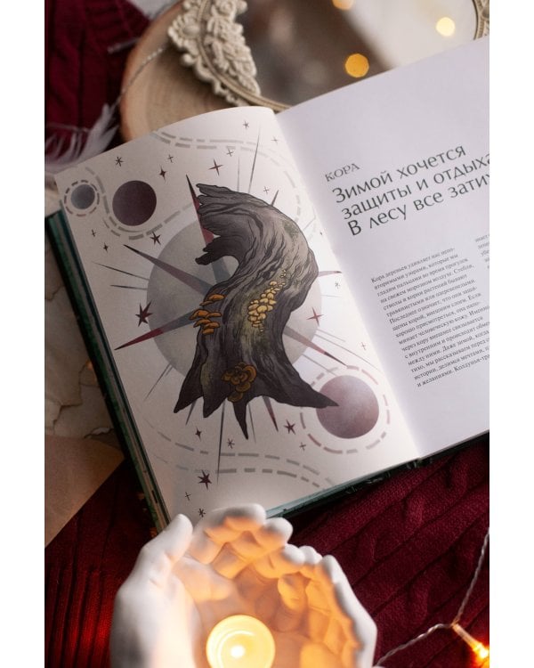 4 сезона волшебства. Тайные послания и рецепты, нашептанные лесом