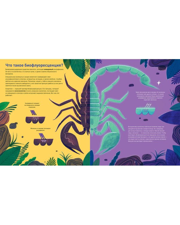 Кто светится в темноте? Невероятные факты о способностях животных