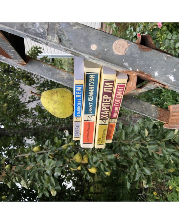 Феномены мозга