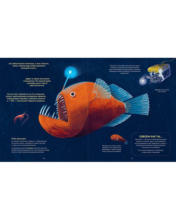 Кто светится в темноте? Невероятные факты о способностях животных