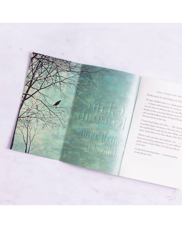 Small Things Like These (Claire Keegan) Такие мелочи (Клэр Киган) /Книги на английском языке