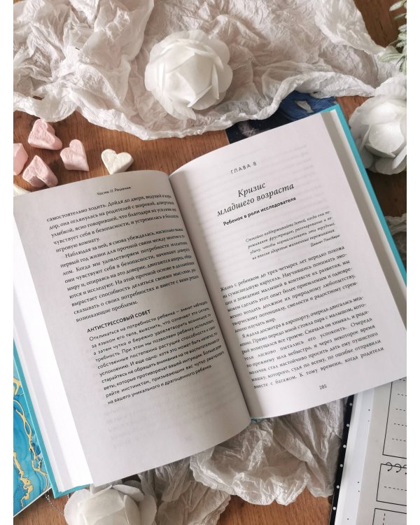 Чего хочет мой ребенок. Нейропсихология о том, как понять потребности своих детей и построить гармоничные отношения