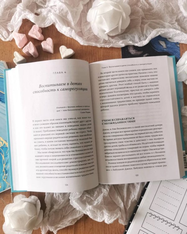 Чего хочет мой ребенок. Нейропсихология о том, как понять потребности своих детей и построить гармоничные отношения