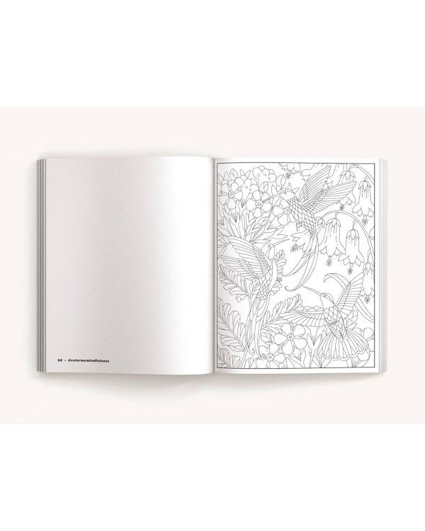 Color Me mindfulness Раскрась меня Цветная осознанность раскраска /Книги на английском языке