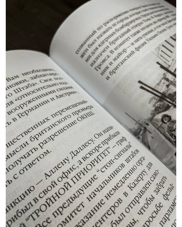 28 мгновений весны 1945 года. Иллюстрированная версия