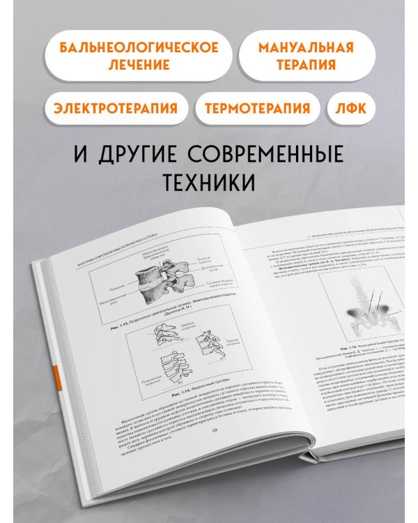 Остеохондроз позвоночника. Методики немедикаментозного лечения болей в спине
