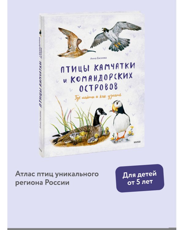 Птицы Камчатки и Командорских островов. Где найти и как узнать