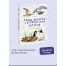 Птицы Камчатки и Командорских островов. Где найти и как узнать