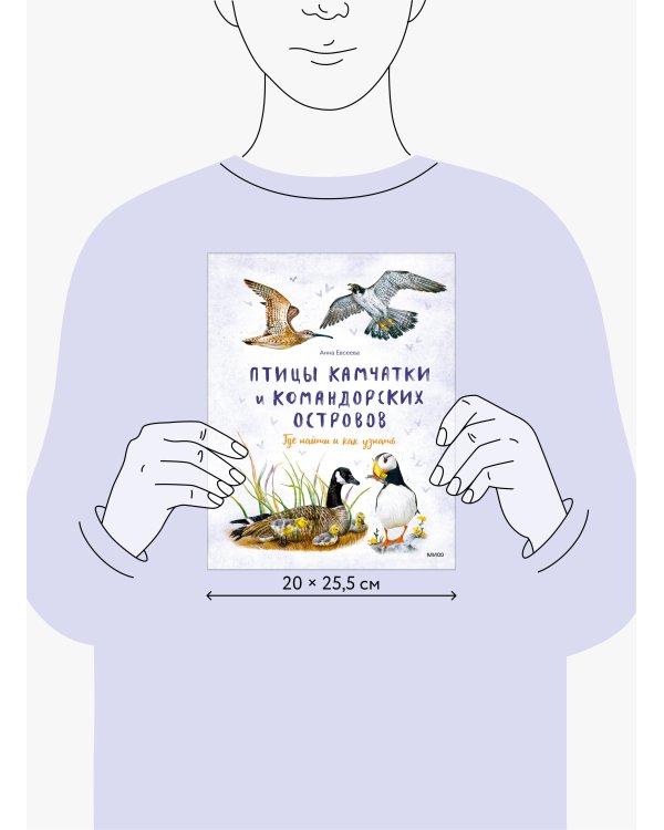 Птицы Камчатки и Командорских островов. Где найти и как узнать