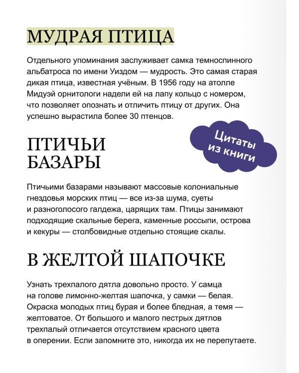 Птицы Камчатки и Командорских островов. Где найти и как узнать