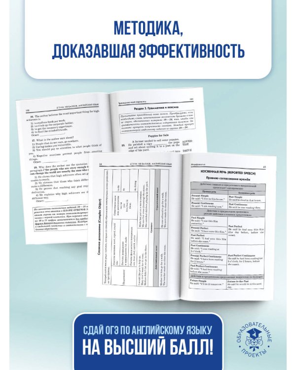 ЕГЭ. Английский язык. ЕГЭ на 100 баллов. Справочник: Теория и практика