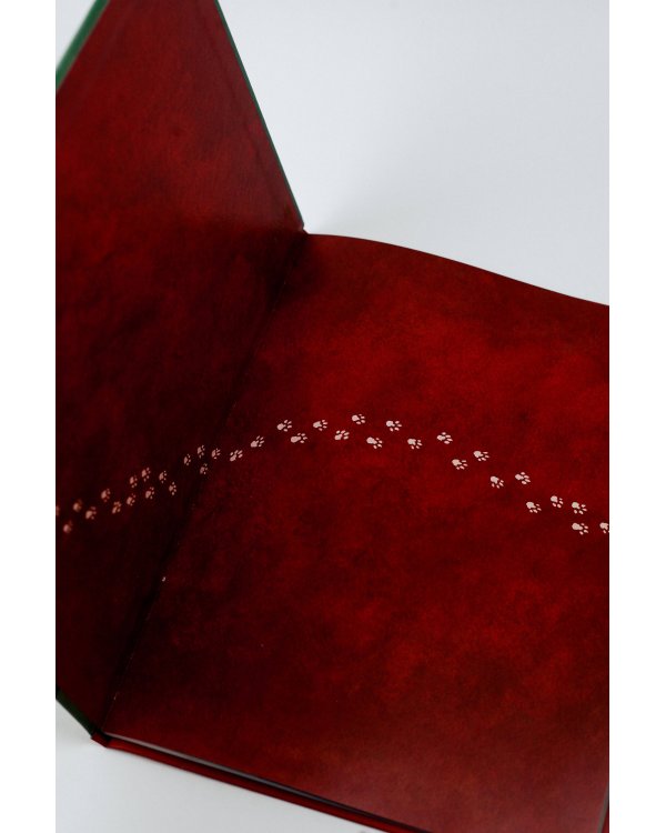 Маленькая колдунья с иллюстрациями Бенжамена Лакомба