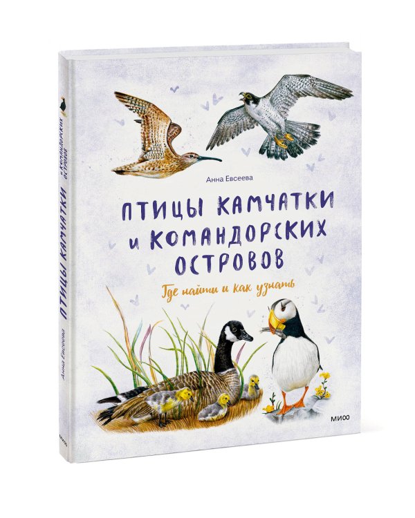 Птицы Камчатки и Командорских островов. Где найти и как узнать