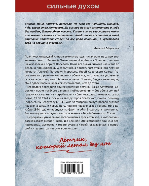 В небе над Курском. Реальный герой "Повести о настоящем человеке"