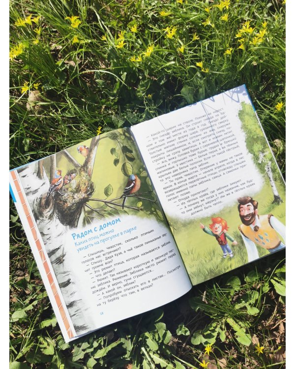 Птицы. Детская энциклопедия (Чевостик)