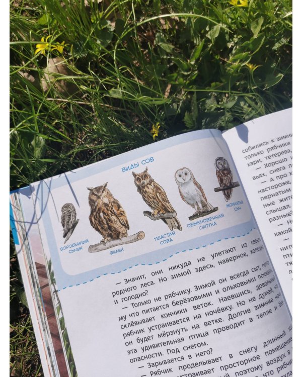 Птицы. Детская энциклопедия (Чевостик)