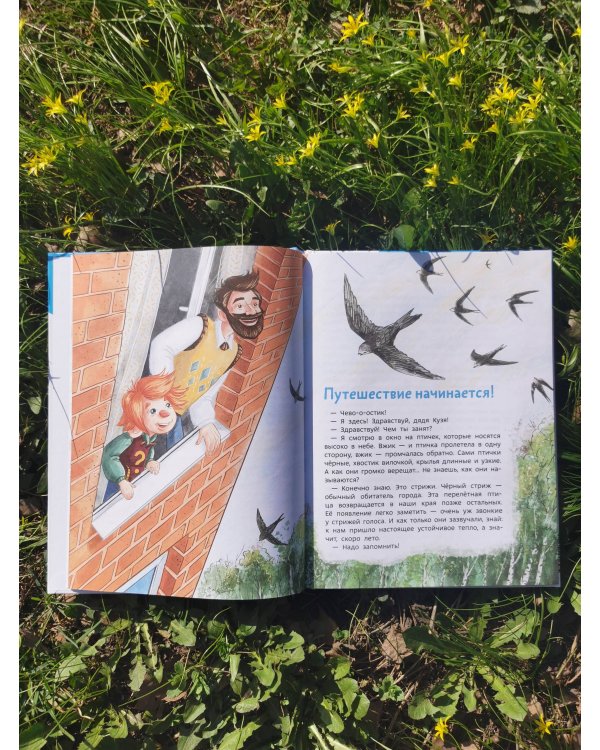 Птицы. Детская энциклопедия (Чевостик)