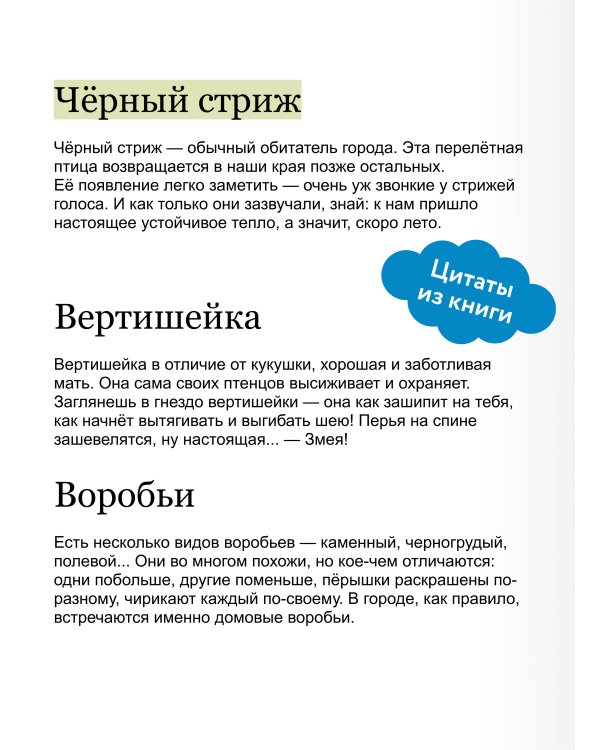 Птицы. Детская энциклопедия (Чевостик)