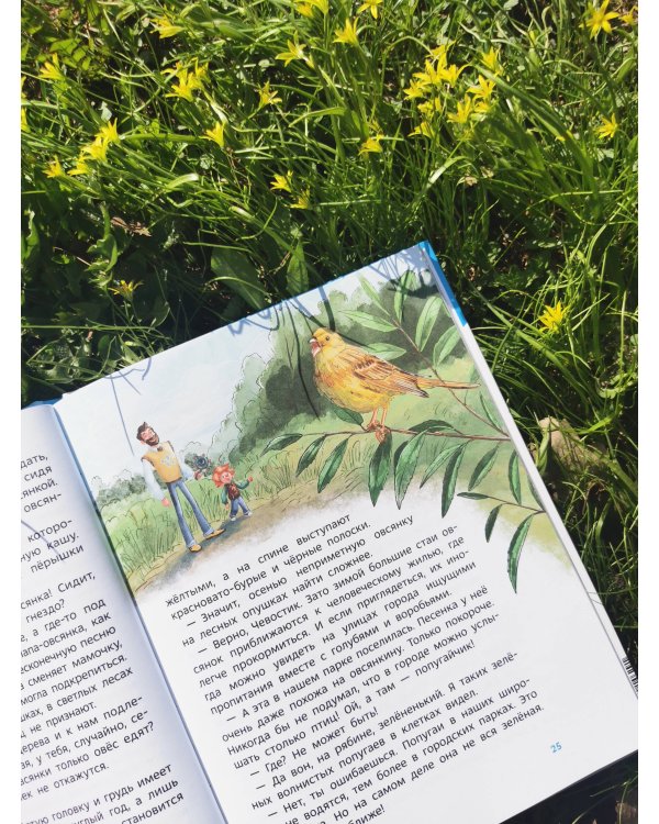 Птицы. Детская энциклопедия (Чевостик)