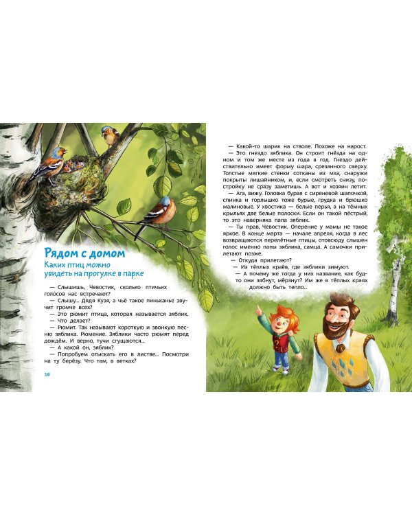 Птицы. Детская энциклопедия (Чевостик)