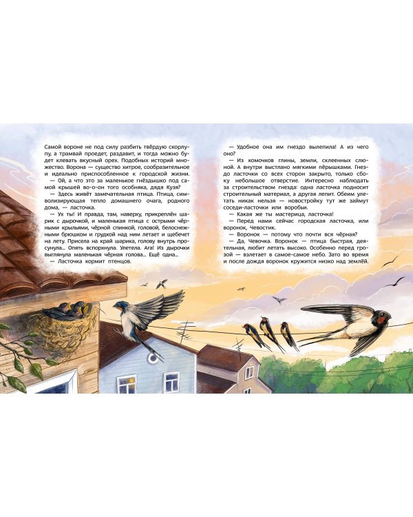 Птицы. Детская энциклопедия (Чевостик)