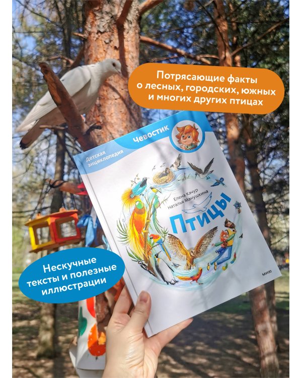 Птицы. Детская энциклопедия (Чевостик)