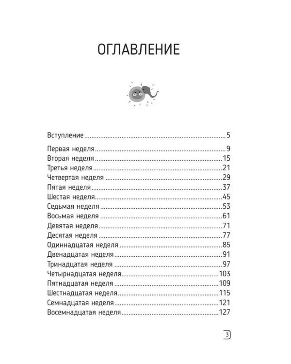 Календарь беременности — неделя за неделей. Большое путешествие от зачатия до родов