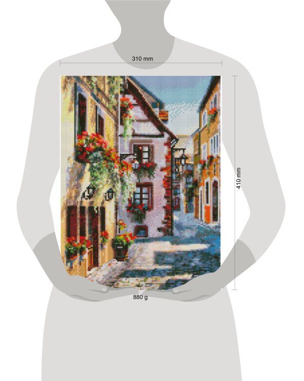 3859-AM-S Франция. Риквир