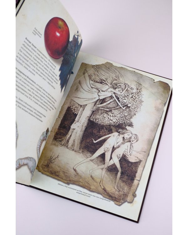 Гримуар колдуний с иллюстрациями Бенжамена Лакомба