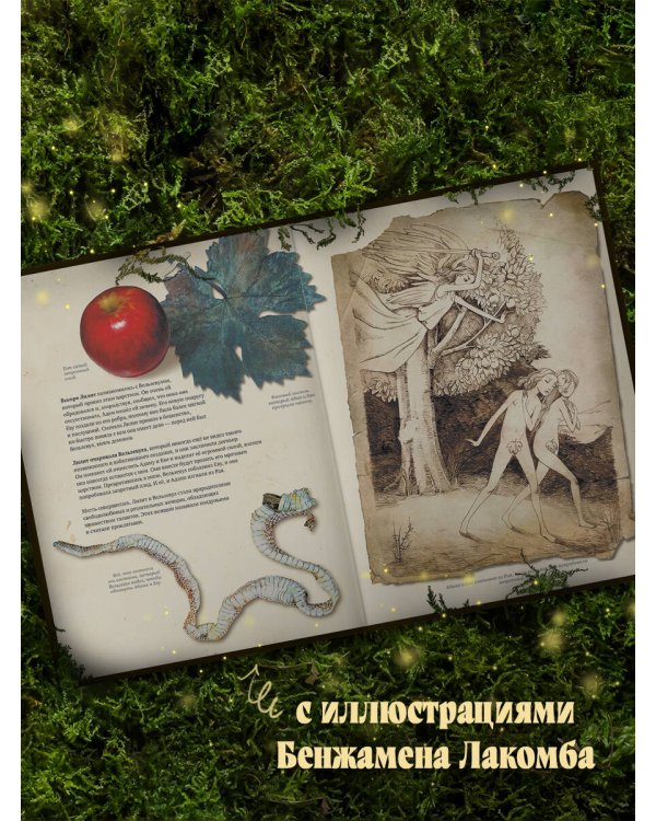 Гримуар колдуний с иллюстрациями Бенжамена Лакомба