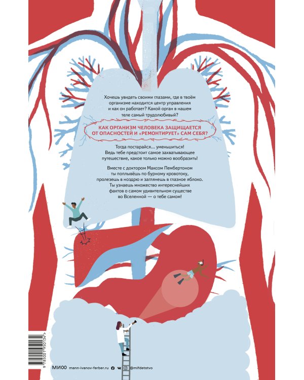 Тело человека. Как работает наш удивительный организм