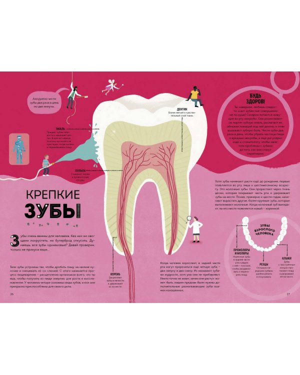 Тело человека. Как работает наш удивительный организм