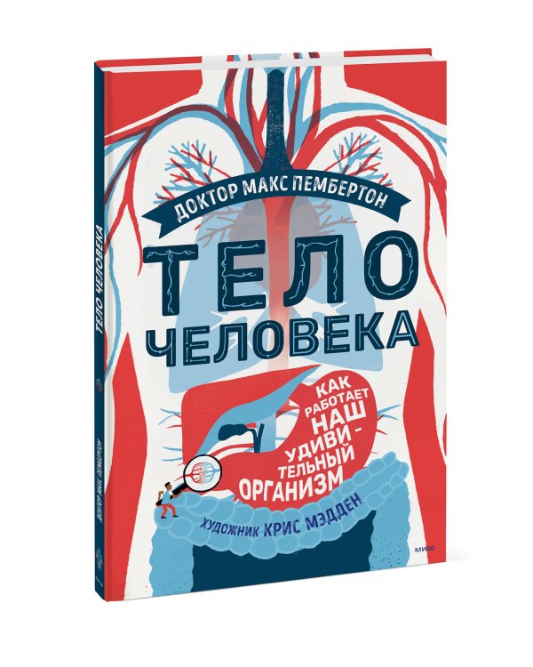 Тело человека. Как работает наш удивительный организм