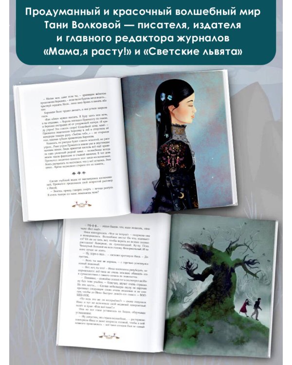 Зачарованный ветер. Иллюстрации Гали Зинько