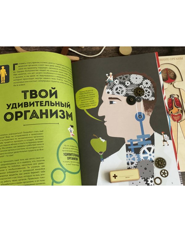 Тело человека. Как работает наш удивительный организм