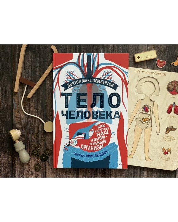 Тело человека. Как работает наш удивительный организм