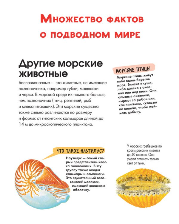 Подводный мир