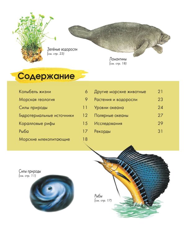 Подводный мир